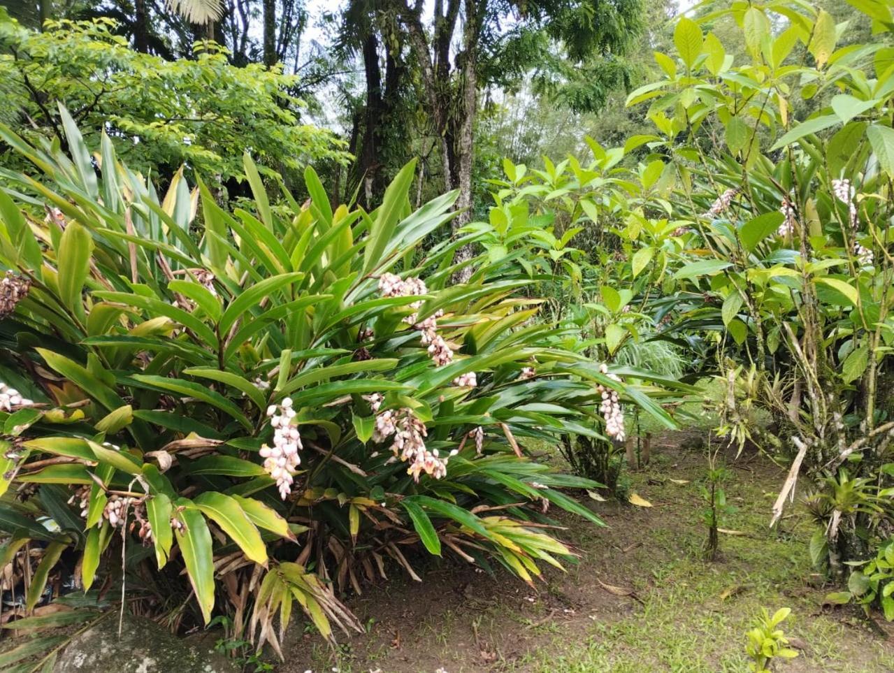 Pousada Morretes Arraial Экстерьер фото